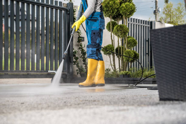 Best Sidewalk and Walkway Cleaning  in Presquille, LA